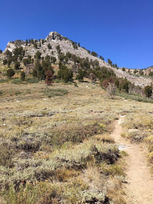 A winding dirt path leads through grassy terrain towards a rocky mountain under a clear blue sky.