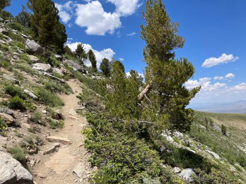 A winding dirt path through a rocky hillside, surrounded by green shrubs and trees under a blue sky with fluffy clouds.