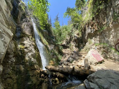A serene waterfall cascades down rocky terrain, surrounded by lush greenery and sunlight filtering through the trees.