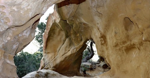 A natural rock formation with a hollow opening, surrounded by trees and rugged terrain.