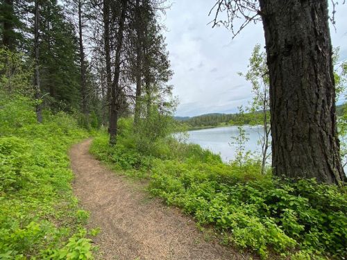 A winding dirt path through lush greenery alongside a calm lake, surrounded by tall trees under a cloudy sky.