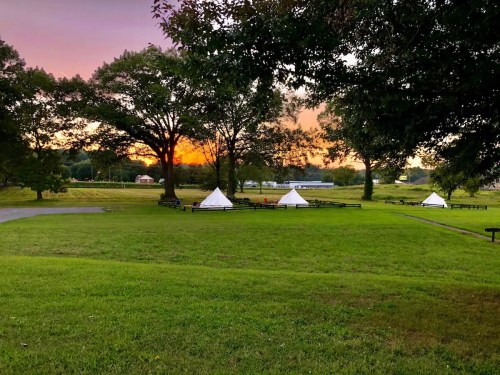Tents set up on a grassy field at sunset, with trees and a peaceful landscape in the background.