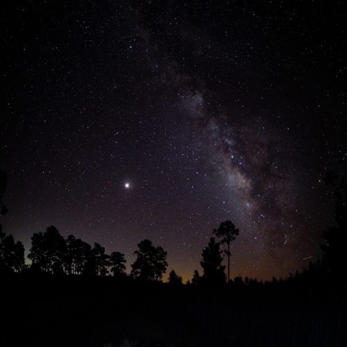 A starry night sky featuring the Milky Way, with silhouettes of trees in the foreground.
