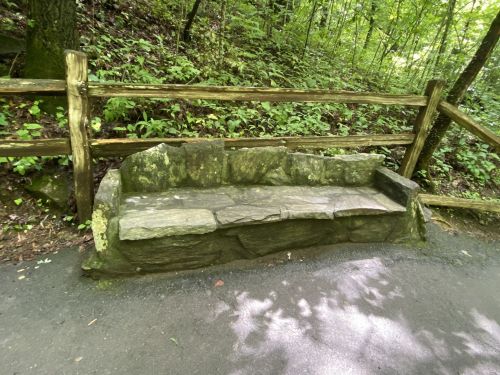 A stone bench along a forest path, surrounded by greenery and a wooden fence.