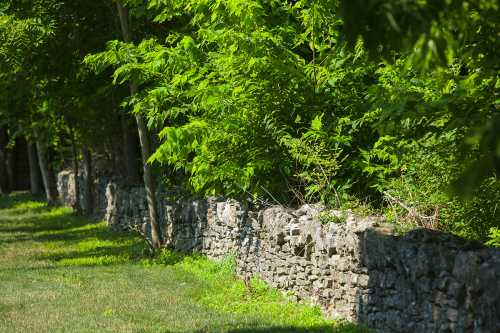 A stone wall lined with lush green trees and grass in a sunny outdoor setting.