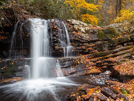 A serene waterfall cascades over rocks, surrounded by autumn foliage and fallen leaves in a tranquil forest setting.