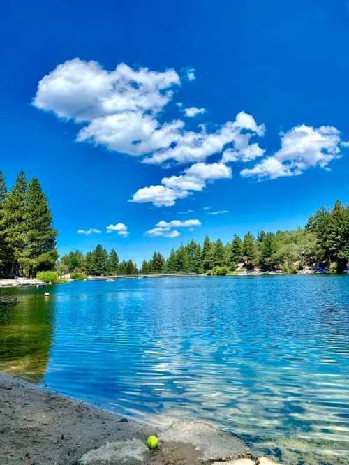 A serene lake surrounded by trees under a bright blue sky with fluffy clouds, reflecting on the water's surface.