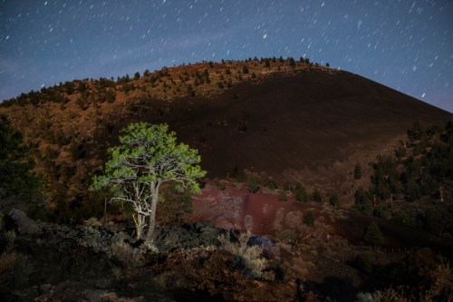 A lone tree stands in the foreground with a starry sky above and a mountain in the background, illuminated by moonlight.