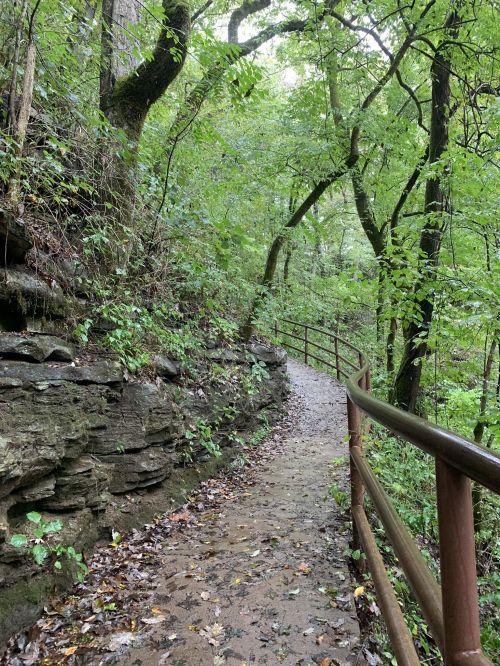 A winding path through a lush, green forest with trees and rocky terrain, bordered by a metal railing.