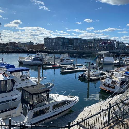 A marina with several boats docked, under a blue sky with clouds and a modern building in the background.