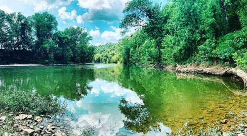 A serene river scene surrounded by lush green trees and a clear blue sky, reflecting in the calm water.