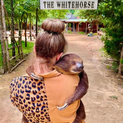A person with a bun hairstyle holds a sloth while walking in a wooded area near a sign that reads "The Whitehorse."