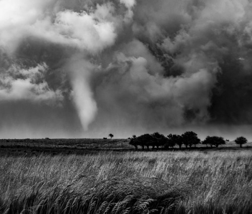 A dramatic black and white landscape featuring a tornado forming amidst dark, swirling clouds over a grassy field.