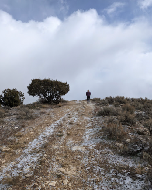 A person walks along a dirt path on a hillside, surrounded by sparse vegetation and cloudy skies.