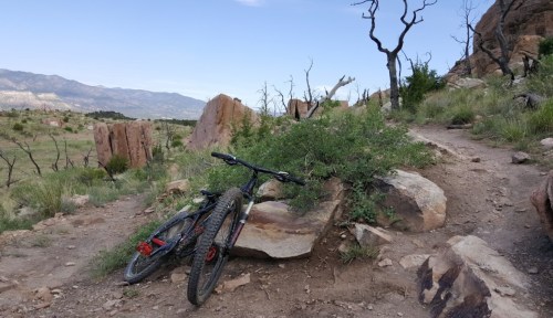 A mountain bike rests against a rock on a rugged trail surrounded by dry vegetation and distant mountains.