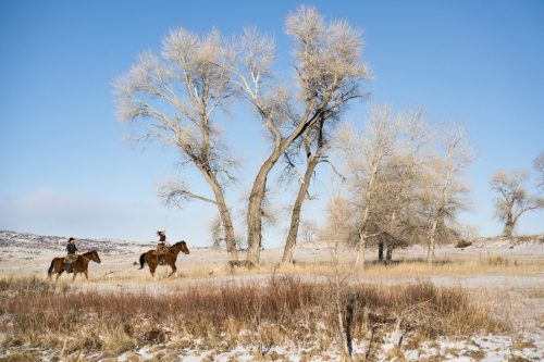 Two riders on horseback traverse a snowy landscape with bare trees under a clear blue sky.