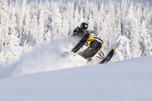 A snowmobiler jumps over a snowy landscape, surrounded by tall, frosted trees.