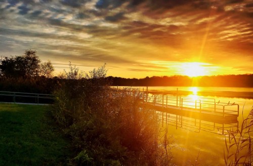 Sunset over a calm lake, with silhouettes of trees and a dock reflecting on the water's surface.