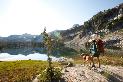 A hiker and a dog stand by a serene lake, surrounded by mountains and greenery, under a bright blue sky.