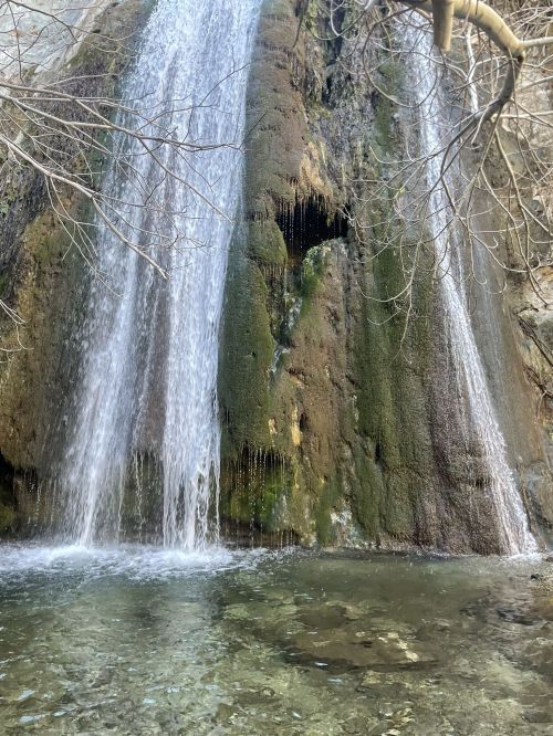 A serene waterfall cascading over moss-covered rocks into a clear pool, surrounded by bare trees.