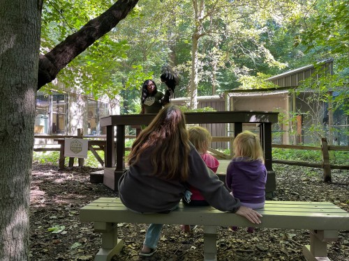 A woman presents an owl to two children sitting on a bench in a wooded area, surrounded by nature and animal exhibits.