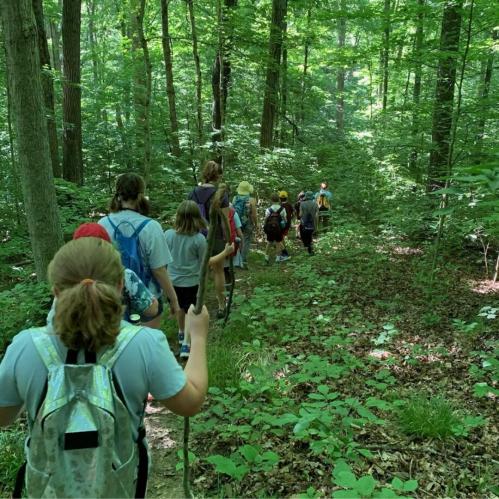 A group of hikers walking along a wooded trail, surrounded by lush green trees and foliage.