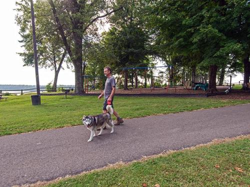 A person walks a husky dog along a park path with trees and a playground in the background.