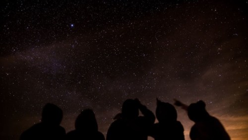 Silhouettes of five people gazing up at a starry night sky, with a bright star visible among the stars.