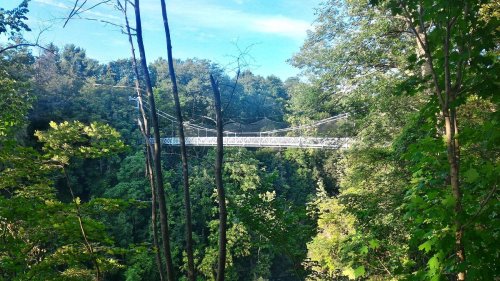 A suspension bridge spans a lush green forest, surrounded by tall trees and a clear blue sky.