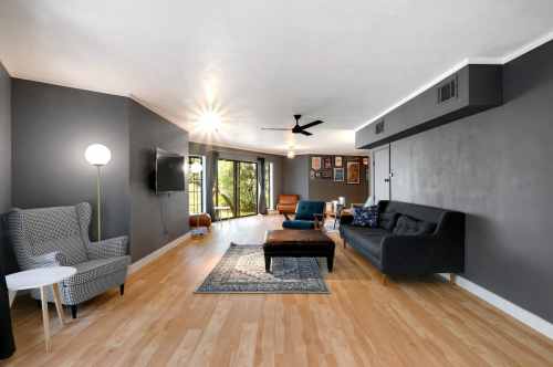 Modern living room with gray walls, hardwood floors, a black sofa, armchairs, and large windows letting in natural light.