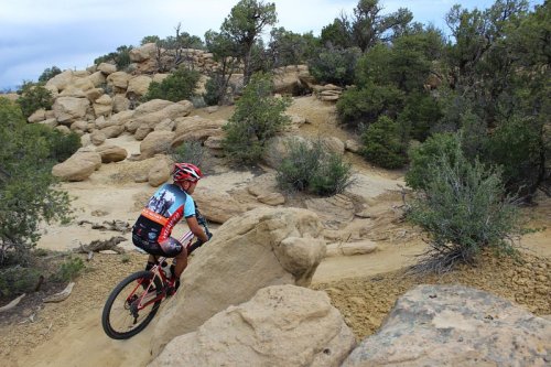 A cyclist navigates a rocky trail surrounded by shrubs and trees in a rugged outdoor landscape.
