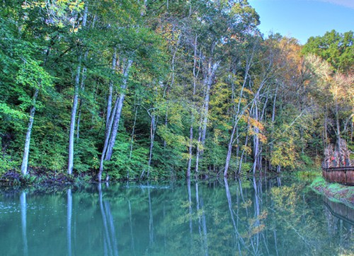 Lush green trees reflect in calm water, with hints of autumn colors along the shoreline under a clear blue sky.