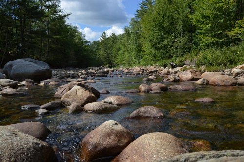 A serene river scene with smooth stones, surrounded by lush green trees and a clear blue sky.