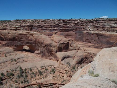 A vast rocky landscape with layered red cliffs and a clear blue sky, showcasing natural formations and sparse vegetation.