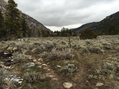 A rocky path leads through a grassy field with sparse trees, set against a backdrop of cloudy mountains.