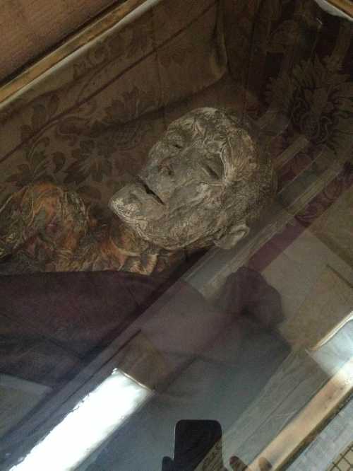 A close-up of a mummified head displayed under glass, with intricate details visible on the surface.