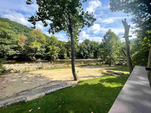 A serene riverside view with trees, a sandy area, and a clear blue sky in the background.