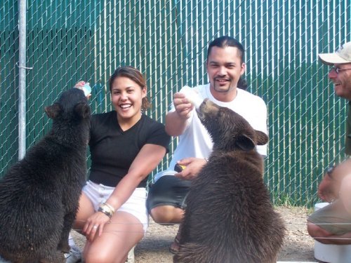 A woman and two men feed two bears in a fenced area, smiling and enjoying the moment.