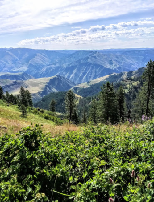 A scenic view of rolling mountains and valleys, with lush greenery in the foreground and a blue sky above.