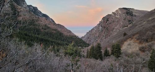 A scenic view of a valley between mountains, with trees and a pastel sky at dusk.