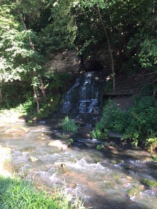 A serene waterfall cascading over rocks into a flowing stream, surrounded by lush green trees and foliage.