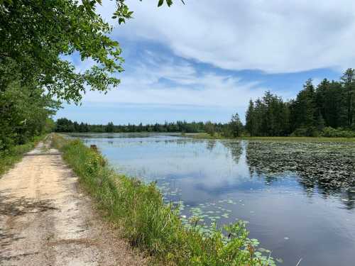 A serene landscape featuring a dirt path beside a calm lake, surrounded by lush greenery and trees under a blue sky.