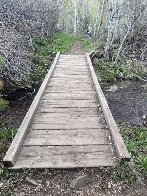 A wooden bridge spans a small stream, surrounded by lush greenery and trees, with a person in the background.