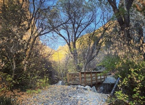 A wooden bridge surrounded by trees and rocky terrain, with autumn foliage and sunlight filtering through.