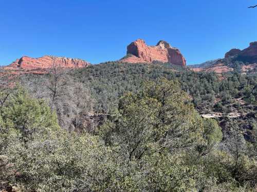 A scenic view of red rock formations and green trees under a clear blue sky in a mountainous landscape.