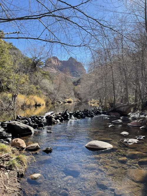 A serene river flows through a rocky landscape, surrounded by trees and mountains under a clear blue sky.