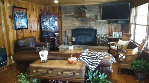 Cozy living room with wooden walls, a stone fireplace, leather furniture, and decorative plants.