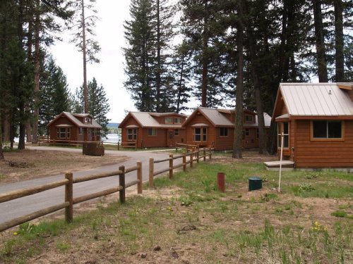 A cluster of wooden cabins surrounded by tall trees, with a gravel path and grassy area in the foreground.