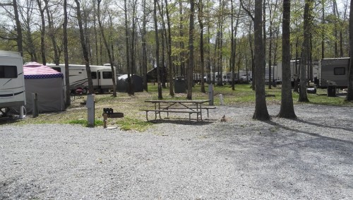 A campsite with RVs and tents surrounded by trees, featuring a picnic table and a grill on gravel ground.