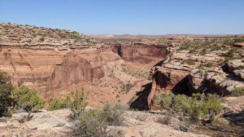 A vast canyon landscape with steep rock formations and sparse vegetation under a clear blue sky.